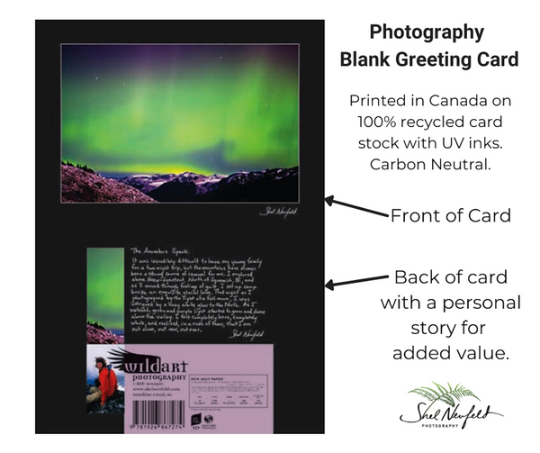Green Northern Lights Photography Blank Greeting Card by Shel Neufeld. Printed in Canada on 100% recycled card stock with UK inks. 
