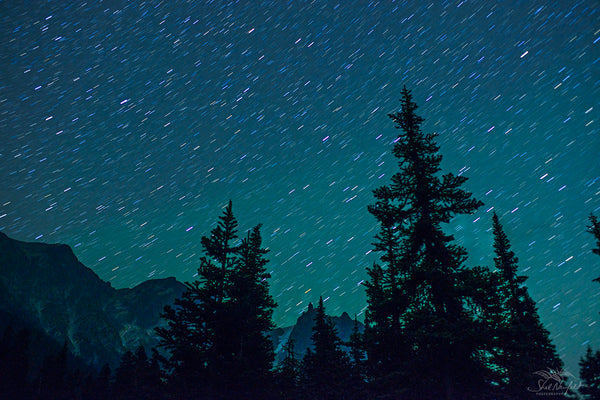 Tall rocky mountains extend to the sky with tree silhouettes in the foreground. In the background is a starry night that fills the sky. The photograph was taken with a long time exposure to show the movement in the stars. The photograph is blue and green. It is available for sale as a canvas or a print by Shel Neufeld, of Roberts Creek, BC, Canada. 