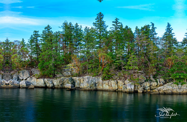 Smuggler Island is filled with Arbutus Trees along its rocky shore. Photograph by Shel Neufeld, west coast photographer. 