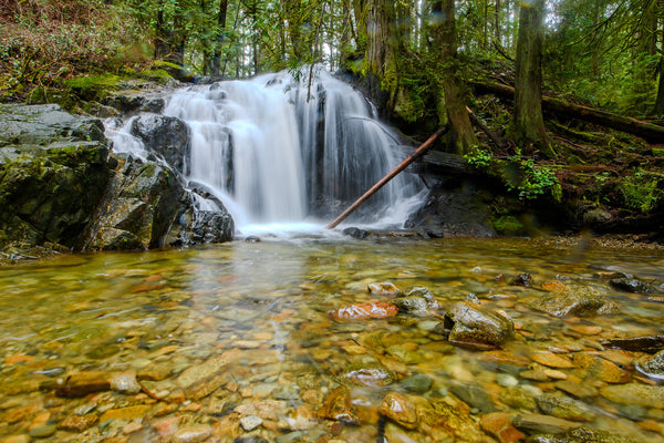 Homesite Creek Lower Waterfall