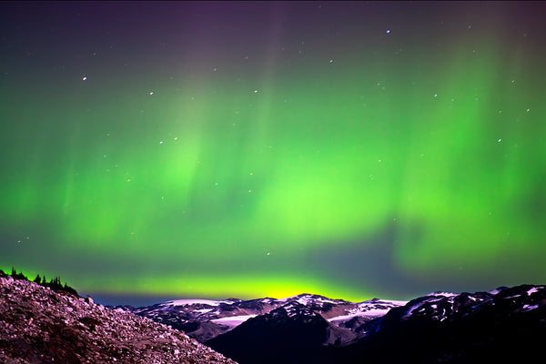 Green and yellow Aurora Borealis over the snowy mountains of Canada Large Canvas Wall Art by Shel Neufeld