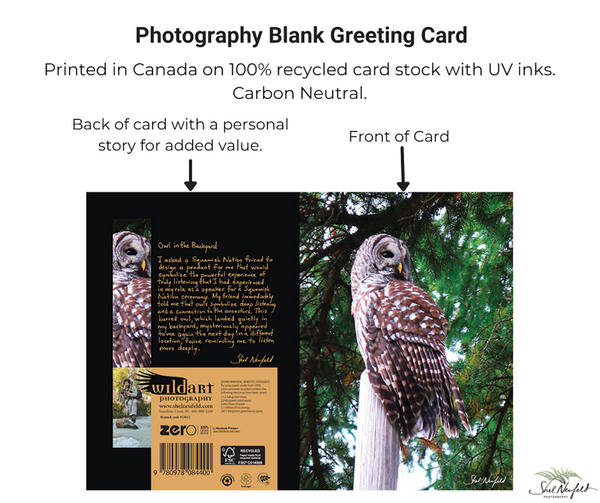 Barred Owl Photography Blank Greeting Card by Shel Neufeld. The back of the card includes a personal story for added value and insight into the artist, Shel.  