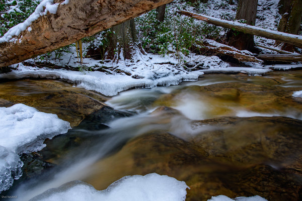 An icy waterfall flows over a rock bed in a forest in the winter. This winter scene was captured by west coast photographer, Shel Neufeld. 