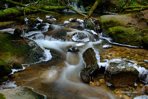 Beautiful water stream from roberts creek, bc, canada captured by Shel Neufeld of WildArt Photography