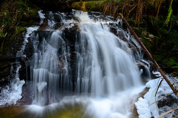 Cliff Gilker Waterfall, Roberts Creek, BC Photography Print by nature photographer Shel Neufeld WildArt Photography