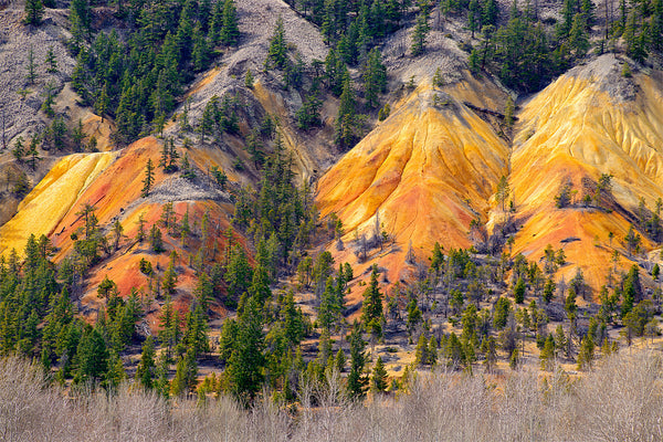 Orange coloured hills close to Clinton, BC, Canada. Fine Art Photography Print by Shel Neufeld