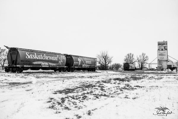 Black and White photograph of Saskatchewan winter landscape with train and grain elevator. 