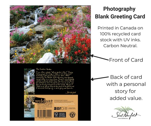 Wildflower garden photography blank greeting card by Shel Neufeld. Printed in Canada on 100% recycled card stock with UK inks.