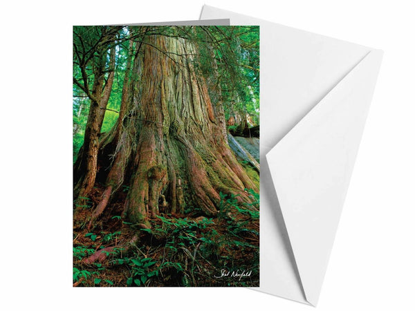 Grandmother Tree - Blank Greeting Card