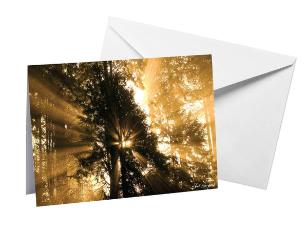 Sepia Sunbeams - Blank Greeting Card