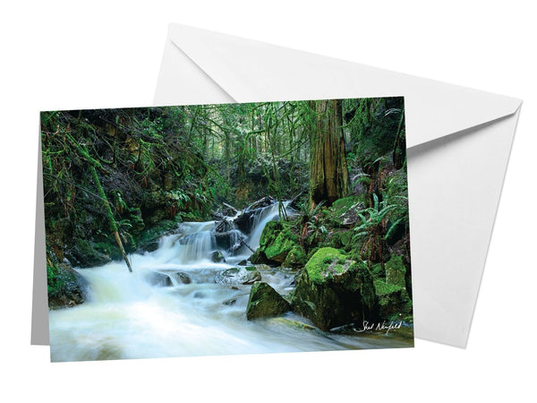 Photography Blank Greeting Card by Shel Neufeld featuring Clack Creek Waterfall, BC, Canada. 