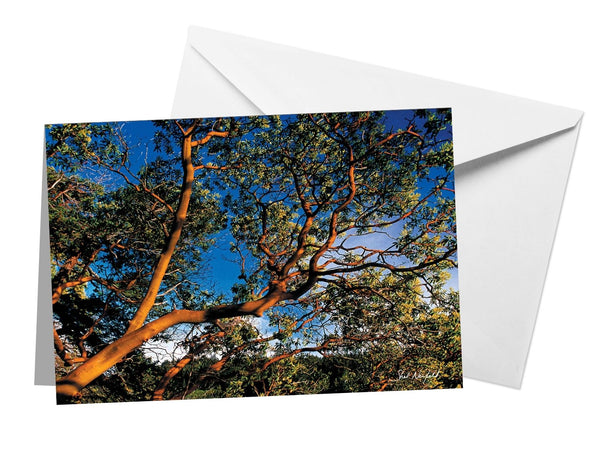 Arbutus Tree Photography Blank Greeting Card for nature lover. Artwork by Shel Neufeld, West Coast Photographer.
