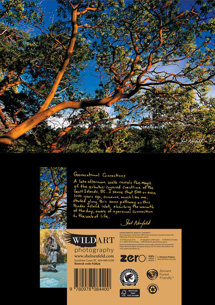 Arbutus Trees on coastal landscape photography greeting card by Shel Neufeld, Canadian landscape photographer.
