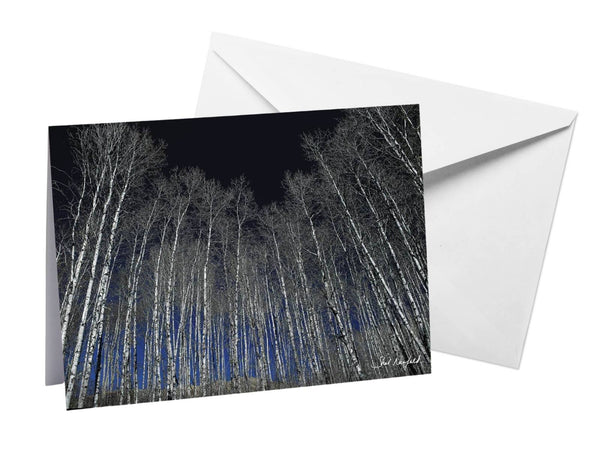 Forest photography blank greeting card by Shel Neufeld, WildArt Photography. 