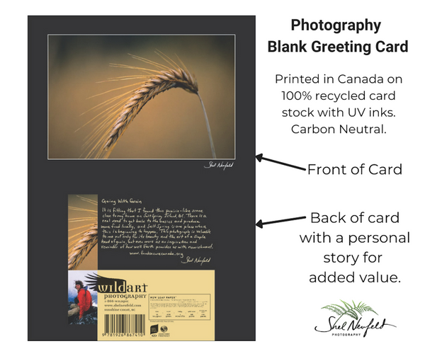 Grain Photography Greeting Card by Shel Neufeld. Printed in Canada on 100% recycled card stock with UK inks. 