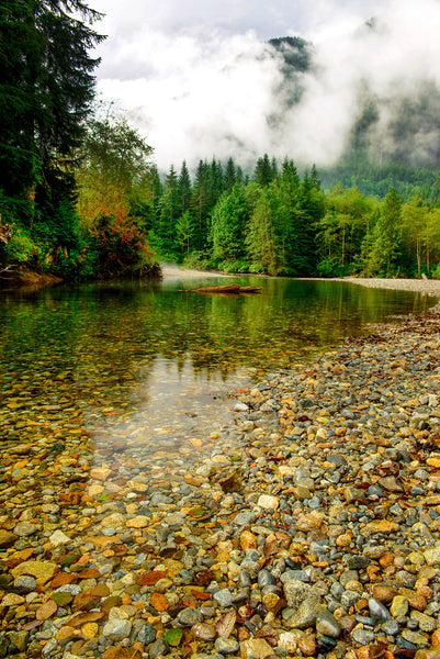 Gold Creek at Golden Ears Provincial Park in BC is captured by Shel Neufeld. A beautiful pebble beach with clear water , green trees, mountains and clouds hanging low. This photograph is available to purchase as a print in a variety of sizes. 