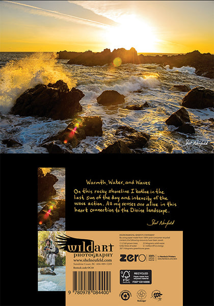 Golden Sunset Coastal landscape photography blank greeting card by Shel Neufeld