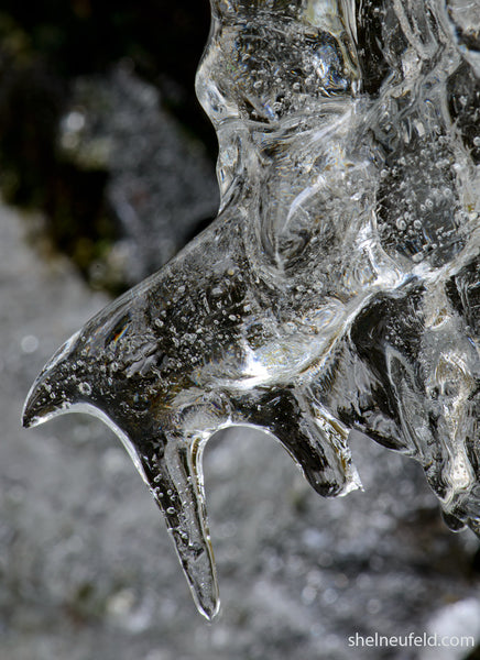 Macro Photography ICE VISION - close up icicle from Canadian winter by Shel Neufeld