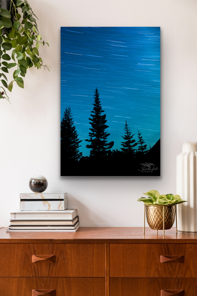 A starry night canvas print is hung in a living room scene. Artwork by Canadian nature and landscape photographer, Shel Neufeld. 