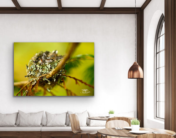A photography canvas with a hummer nest hangs in a living room. Photography by Shel Neufeld. 