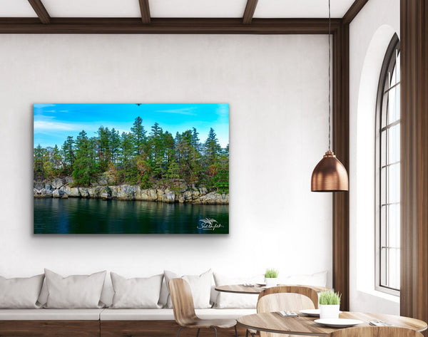 Coastal landscape with arbutus trees photography canvas hangs in a living/dining room. Artwork by Shel Neufeld. 