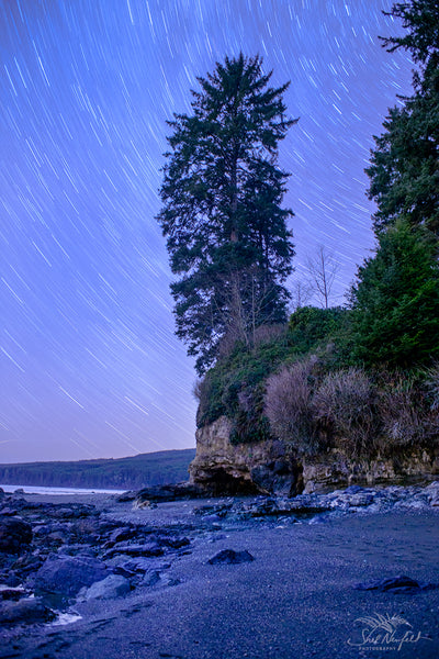Sombrio Beach vertical night photography by Shel Neufeld, Canadian landscape and nature photographer. 