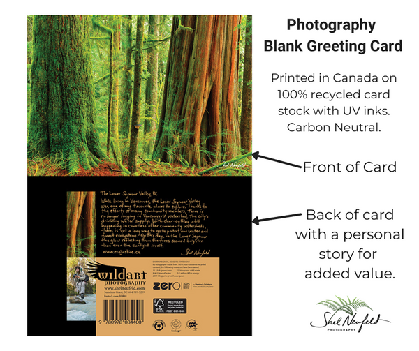 Ancient Forest Photography Blank Greeting Card by Shel Neufeld. Printed in Canada on 100% recycled card stock with UK inks. 