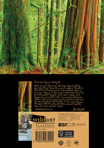 Vibrant green mossy old growth ancient forest photography blank greeting card by Shel Neufeld. Shel gives a personal story on the back of the card.