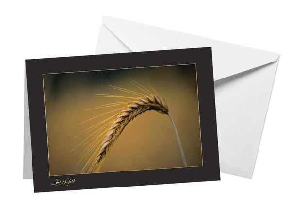 Going with Grain - Blank Greeting Card