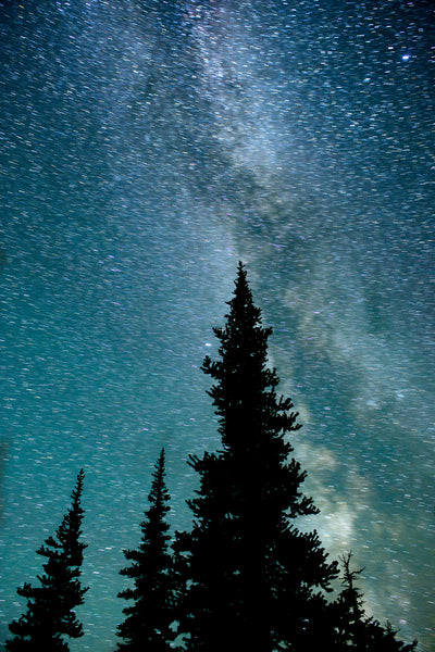 Astrophotography - the milky way photography print - starry night sky canvas by Shel Neufeld