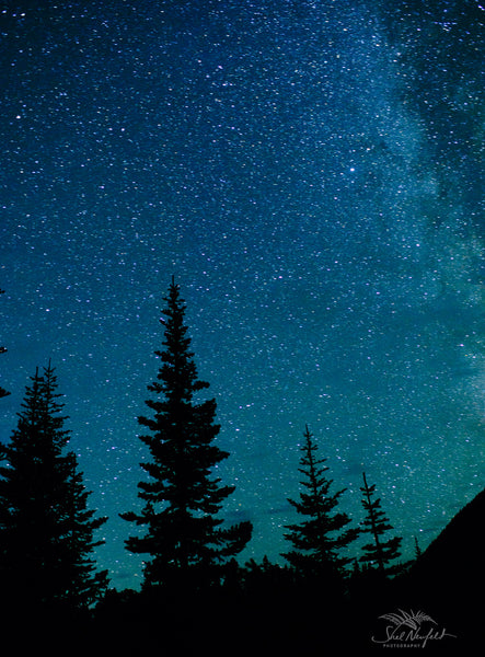 Milky way astrophotography with tree silhouettes by Shel Neufeld. Captured in Lillooet, BC, Canada. 