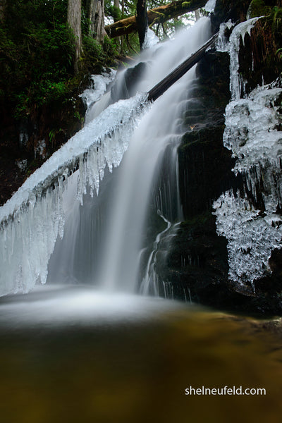 Ice waterfall photo from pacific northwest - photo print wall art by Shel Neufeld