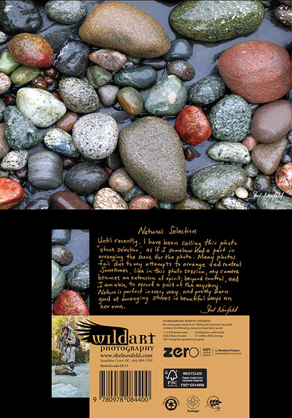 Natural Selection Stone photography blank greeting card by Shel Neufeld. On the back of the card, Shel gives a personal story of his connection to the photograph. 