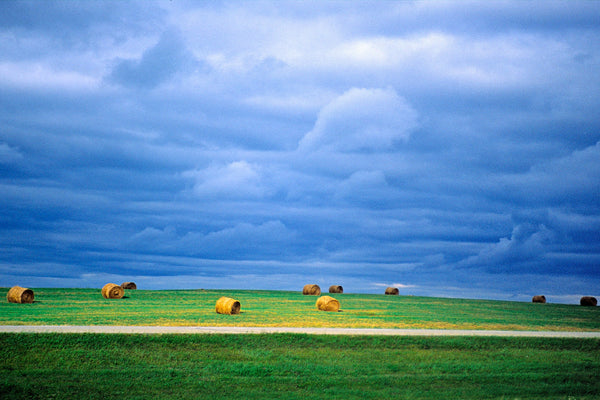 Canadian Prairie Landscape Scene, Hay Bales Near Stony Plain, AB by Landscape Photographer Shel Neufeld of WildArt Photography