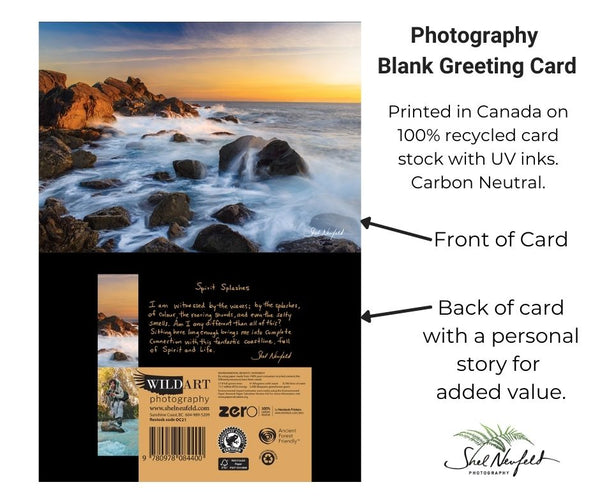 Photography blank greeting card by Shel Neufeld. Printed in Canada on 100% recycled card stock with UV inks. 