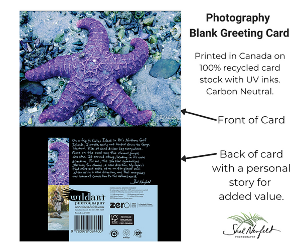 Purple starfish blank greeting card by Shel Neufeld. The back of the card includes a personal story from the artist, Shel. 