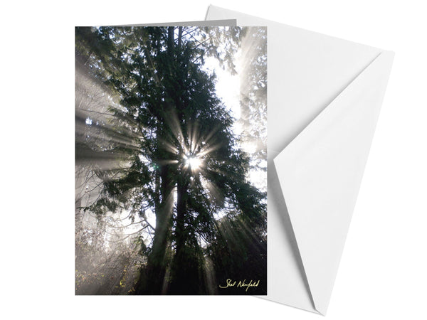 Sunbeams - Blank Greeting Card
