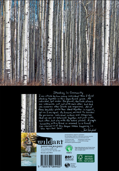 Many white Aspen trees stand tall in an aspen forest. This is a photography print that is made into a blank greeting card. On the back of the card, the artist, Shel Neufeld, provides some insight into the photograph. All work is by Shel Neufeld of WildArt Photography, based out of Roberts Creek, BC, Canada. 