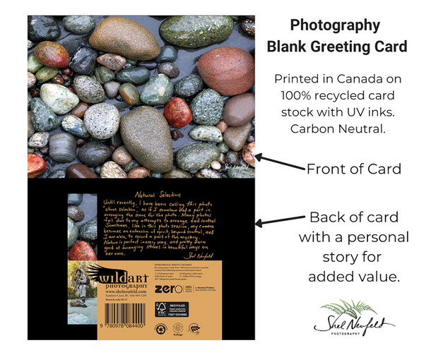 Natural Selection stone photography greeting card by Shel Neufeld.