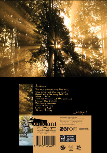 Golden sunbeam and tree silhouette photography nature blank greeting card by Shel Neufeld. On the back of the card, Shel gives a short poem about his connection to the photograph.