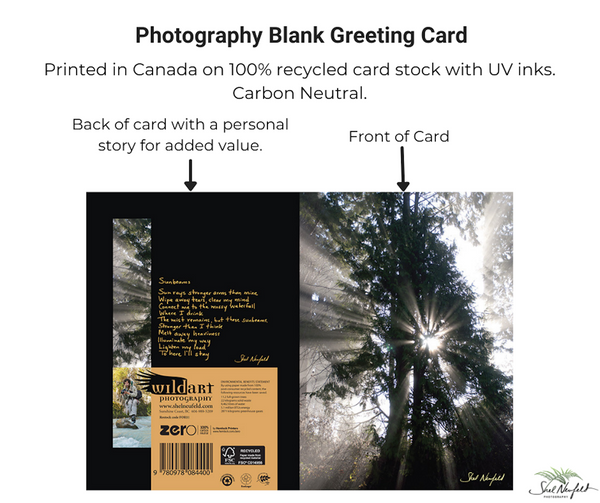 Tree Silhouette Photography Blank Greeting Card by Shel Neufeld. 