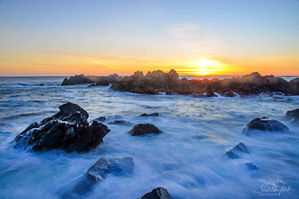 Ucluelet Big Beach Coastal Landscape Photography Print by Shel Neufeld, Canadian landscape and nature photographer in Roberts Creek, BC, Canada
