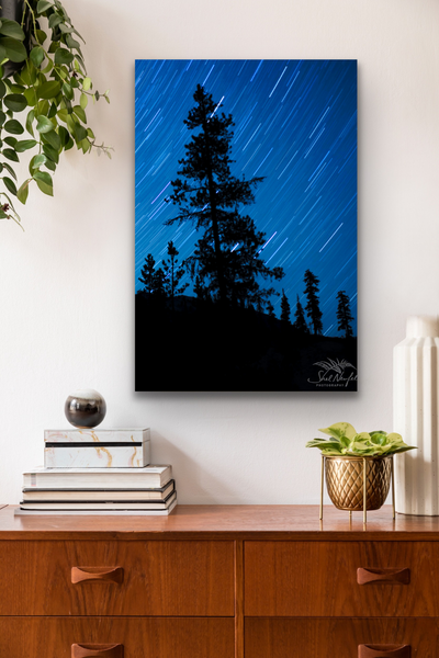 A vertical photographic print is hung on a living room wall. Around the wall art is a desk with books and a plant. The wall art is the focal point of the image. The wall art contains a large tree silhouette with a blue starry night. The stars are star streaks. Image taken by nature and wildlife photographer Shel Neufeld of Roberts Creek, BC, Canada. This print is available in a variety of sizes and ships worldwide.