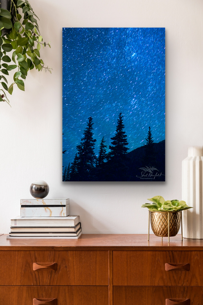Vertical wall art hangs in a living room scene. The vertical wall art is it focal point of the image. The print contains a big starry night sky with tree silhouettes in the foreground. It is available in a variety of sizes and ships worldwide.