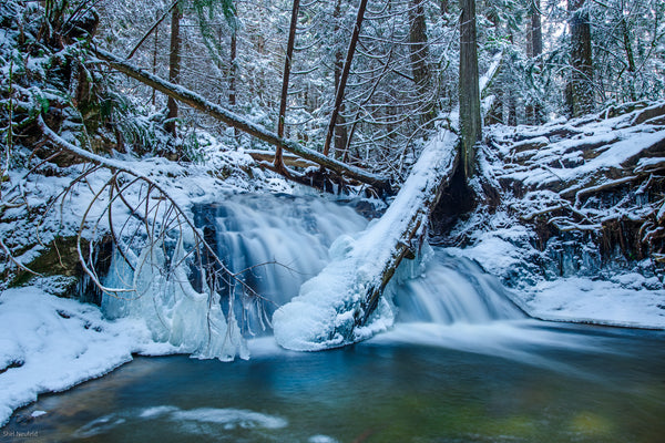 Clack Creek Icy waterfalls cascade into a pool in a winter forest scene. Captured by Shel Neufeld from the Sunshine Coast, BC