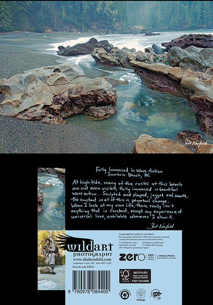 Wave and rock revelation coastal photography blank greeting card by Shel Neufeld. On the back of the card, as added value, Shel offers a personal story about his connection to the photograph
