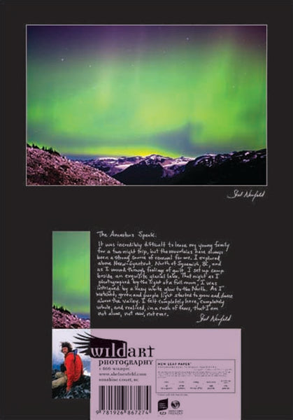 Green Glowing Northern Lights over Mountain Landscape photography blank greeting card by Shel Neufeld