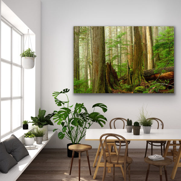 Ancient forest photography canvas hangs in a modern dining room. Artwork by Canadian photographer Shel Neufeld. 