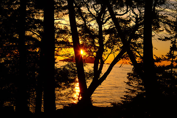 Bowen Island Sunset, British Columbia, Canada - Wild Art Photography Print by Shel Neufeld