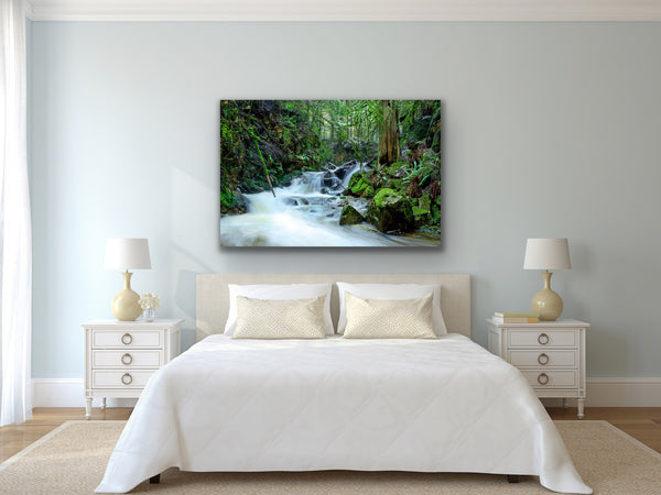 Clack Creek Forest Photography Canvas Wall art hangs above a bed in a bedroom. Photography by Shel Neufeld. 